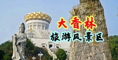 17艹逼视频网站中国浙江-绍兴大香林旅游风景区